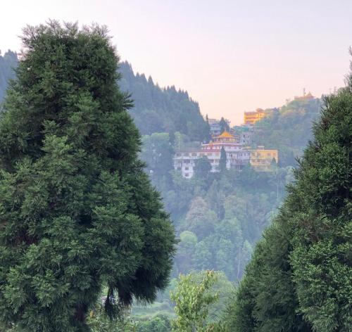 Foto dalla galleria di Green Tara Residency a Darjeeling