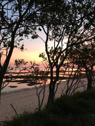 a sunset over the beach with trees in the foreground at Auberge de Poé in Bourail