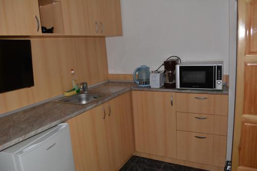 una pequeña cocina con fregadero y microondas en Guest House Orbita, en Tyulenovo