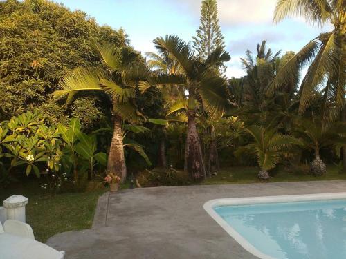 a swimming pool in a yard with palm trees at Villa Verde , haven of peace and love in Blue Bay