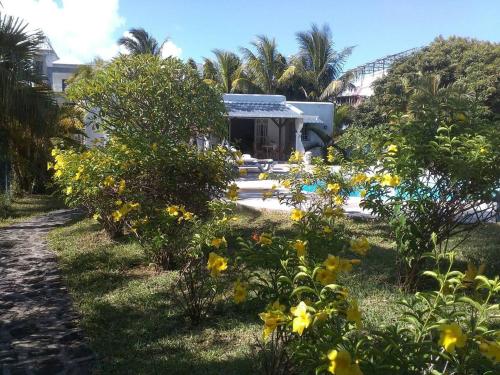 Vườn quanh Villa Verde , haven of peace and love