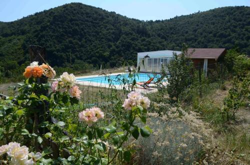 a swimming pool with a house and some flowers at MARGARIDOU in Blesle