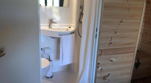 a bathroom with a sink and a toilet at Superior Glamping Pod with Hot Tub in Frodsham