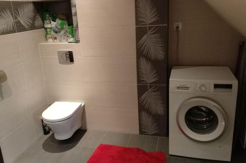 een kleine badkamer met een toilet en een wasmachine bij Agroturystyka Sajkiewicz in Suchowola