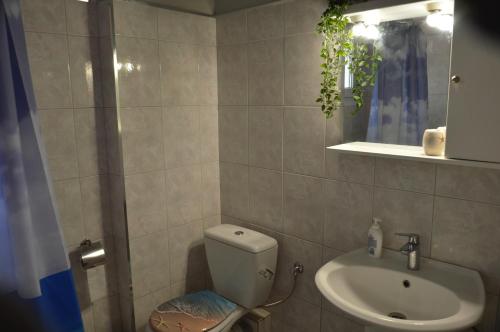 Gallery image of Daisy Apartment in Asprovalta