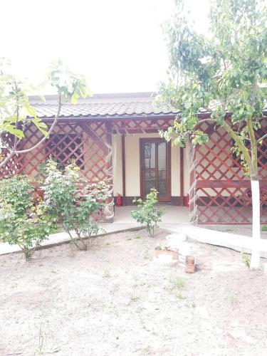 Taman di luar Casa Carter