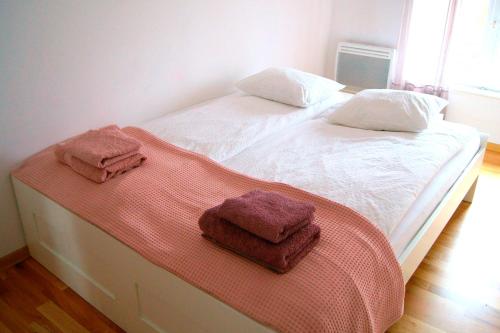 Postel nebo postele na pokoji v ubytování Apartament Toruń, Szeroka Cosy Apartment