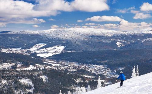 a person standing on top of a snow covered mountain at Ferienwohnung Dimpfl-Stad´l Fam. Lemberger in Lohberg