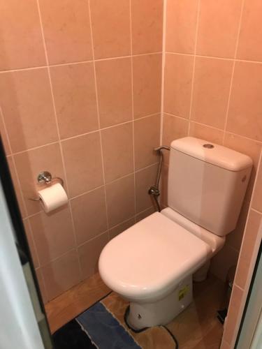 a bathroom with a toilet and a roll of toilet paper at Red Stone in Truskavets