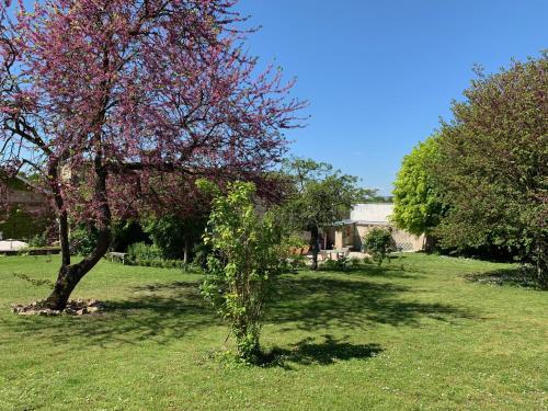 Le Clos Corbier – Photos 4