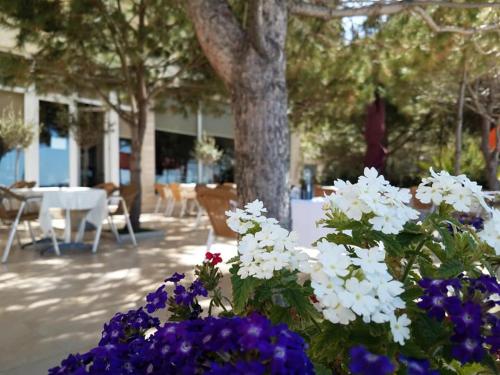 a bunch of flowers in front of a tree at Hotel Edart in Durrës