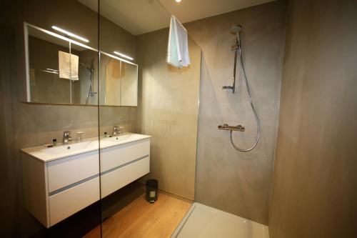 ein Bad mit einem Waschbecken und einer Dusche in der Unterkunft La Fête au Palais in Lustin