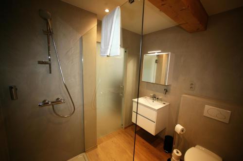 a bathroom with a shower and a toilet and a sink at La Fête au Palais in Lustin