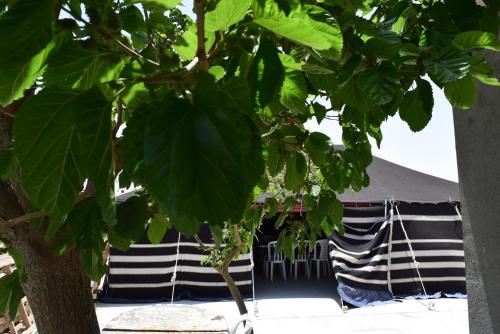 a black and white tent with a tree in the foreground at Khan Alsira - חאן אלסרה in Alsira