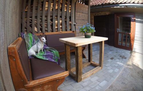 einem Hund, der auf einem Stuhl neben einem Tisch sitzt in der Unterkunft Ventspils Garden house in Ventspils