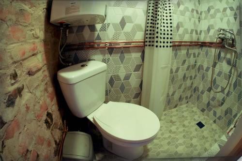 a small bathroom with a toilet and a shower at Ventspils Garden house in Ventspils