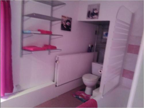 a bathroom with a white toilet and a bath tub at Chez Caro in Epinois