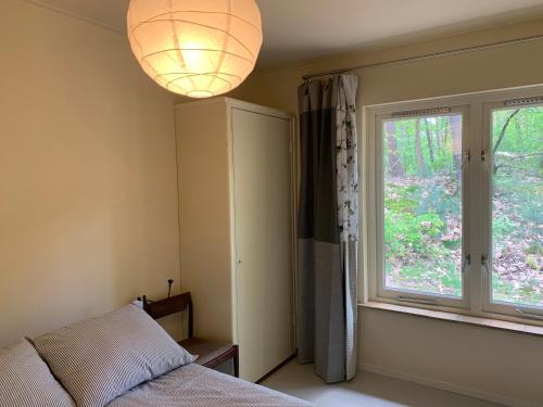 ein Schlafzimmer mit einem Bett und einem großen Fenster in der Unterkunft Wina Boshuisje Veluwe in Otterlo