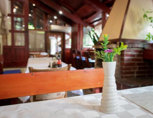 Restaurace v ubytování Medic Hotel