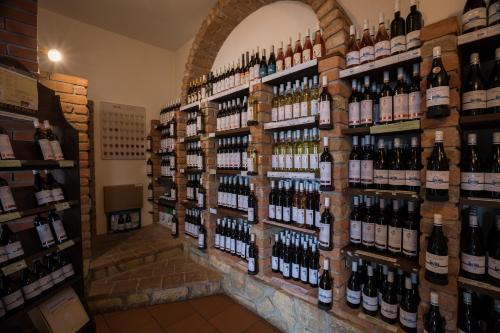 a store filled with lots of bottles of wine at Penzion Patria Kobyli in Kobylí