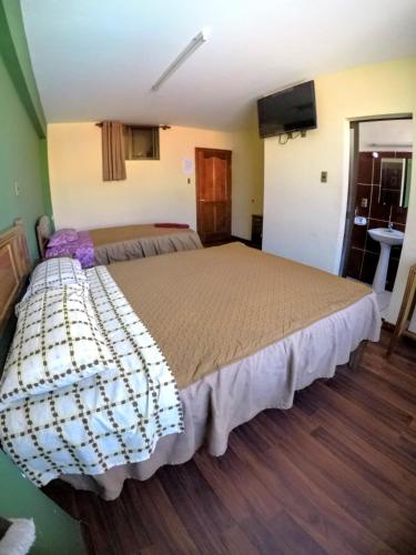 a bedroom with a large bed in a room at Residencial Uruguay in La Paz
