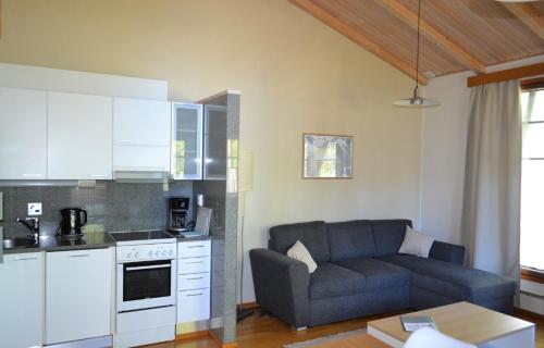 a living room with a couch and a kitchen at Saimaa Style Spa Chalet in Imatra