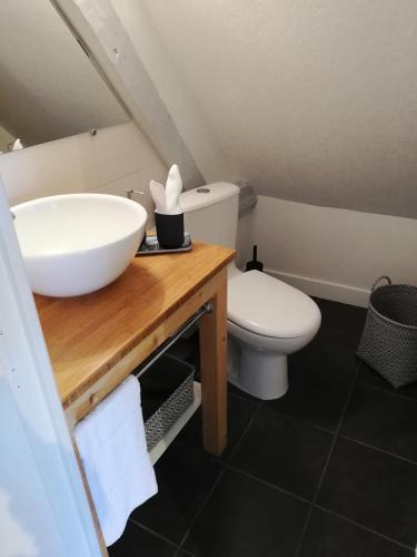 a bathroom with a sink and a toilet at Appartement Henri II in Le Mans