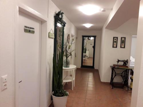 un pasillo con una planta en el medio de una habitación en Pension Hendling, en Klingfurth