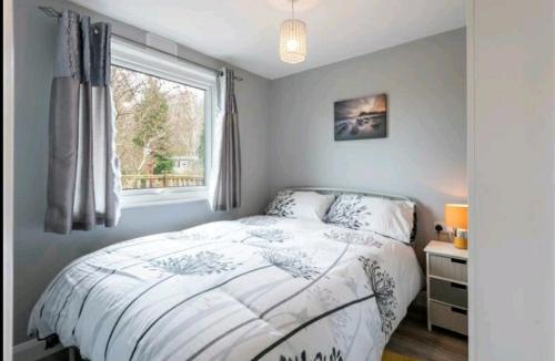 een slaapkamer met een bed en een raam bij Crofters Cabin in Caernarfon
