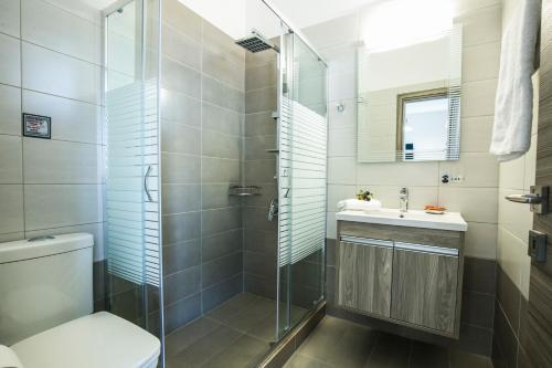 a bathroom with a shower and a toilet and a sink at Kolimbito Sea Side in Falasarna