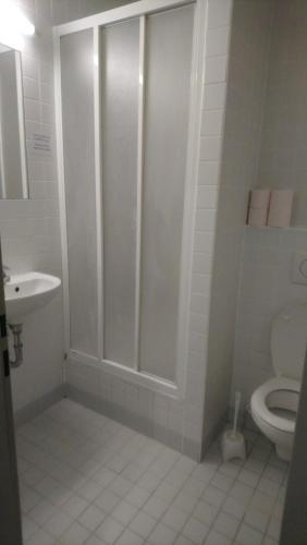 a bathroom with a shower and a toilet at Hotel & Hostel Letov in Prague