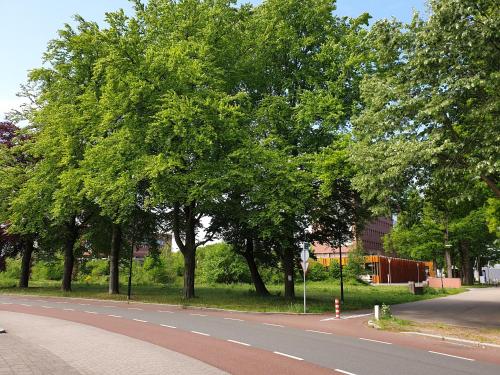 a street with trees on the side of a road at Studio in Stijl in Apeldoorn