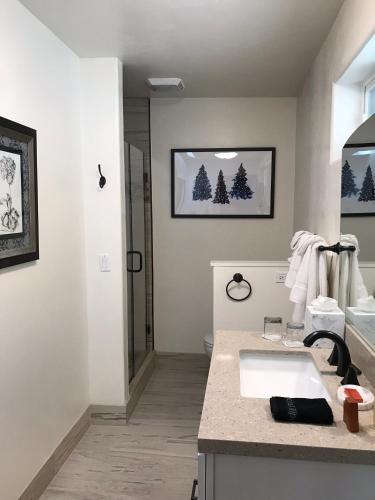 a bathroom with a sink and a toilet and a mirror at The Grand Idyllwild Lodge in Idyllwild