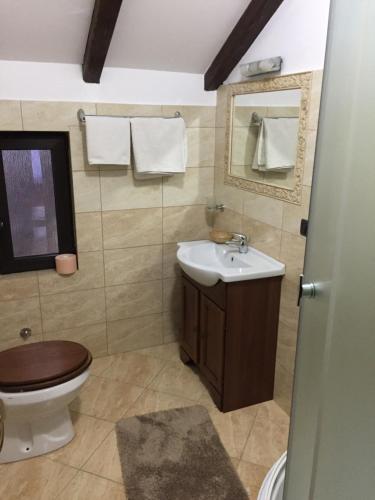 ein Badezimmer mit einem WC, einem Waschbecken und einem Spiegel in der Unterkunft Pensiunea Rustic in Borşa
