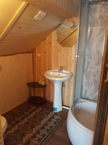 a bathroom with a sink and a bath tub at Gostynnyi Dvir u Marichky in Lazeshchyna