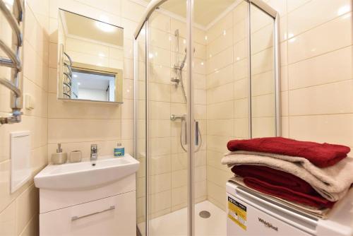 Un baño con ducha, lavabo y espejo. en Crystal Apartment, en Druskininkai