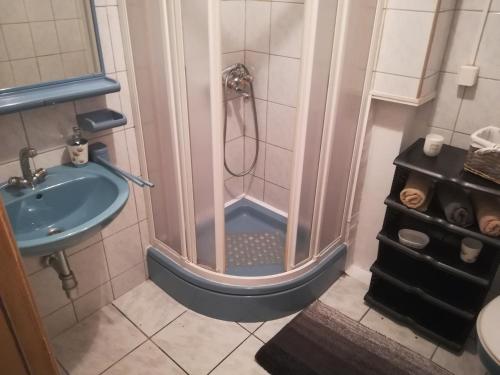 a small bathroom with a shower and a sink at Apartman Lidija in Livno