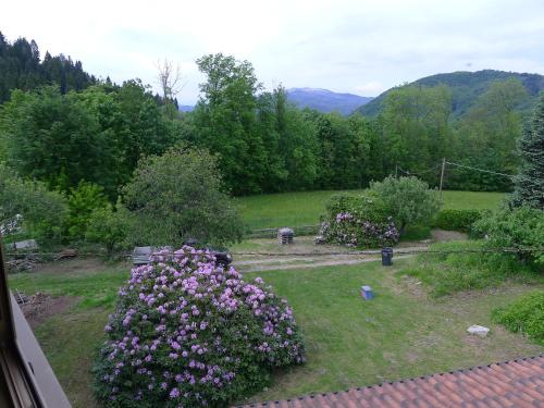 a garden with purple flowers in the grass at l'Oca Mannara in Ameno
