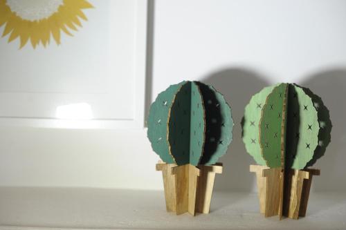 three cacti in wooden holders on a table at Aduepassi apartments in Manfredonia
