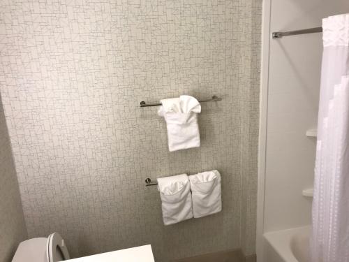 a bathroom with a white towel hanging on the wall at Holiday Inn Express & Suites - Pittsburgh - Monroeville, an IHG Hotel in Monroeville