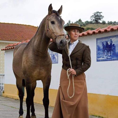 Gallery image of Horse Riding Country House in Vila Franca de Xira