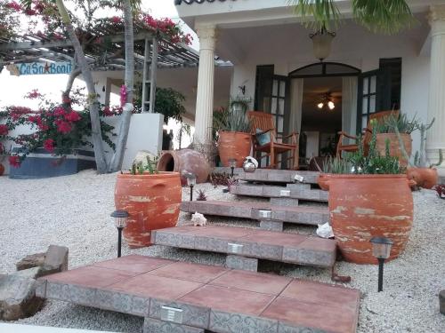 a house with stairs and potted plants in front of it at Casa Bonita Inn in La Parguera