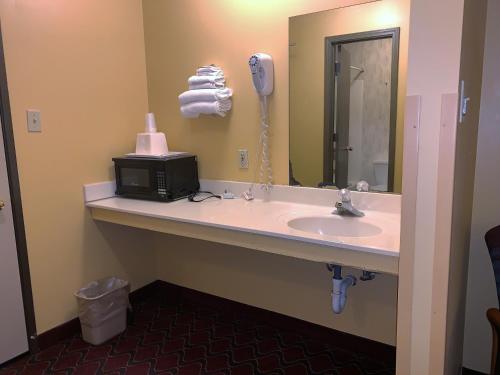 a bathroom with a sink and a microwave at PATRIOT INN in Spencer