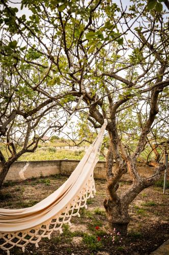 a hammock hanging from a tree in a park at Elena's Guest House in Aegina Town