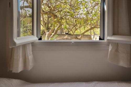 an open window with a view of a tree at Elena's Guest House in Aegina Town