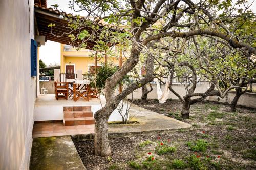 a tree in a yard next to a house at Elena's Guest House in Aegina Town