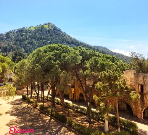 a row of trees in front of a mountain at Areti's Traditional house in Apóllona