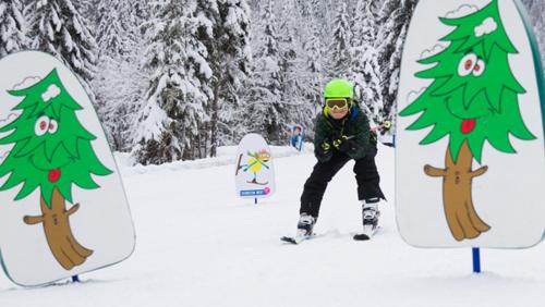 a person on skis in the snow next to trees at Pension Haus Rohrmoser in Annaberg im Lammertal