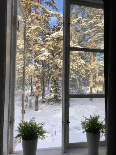 an open window with two potted plants looking out at a snow covered forest at Hedenstugan B&B Hotel in Bergby