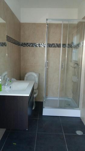 a bathroom with a shower and a sink and a toilet at Casa do carmo N 10 in Olhão